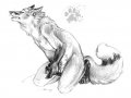 1183294867.blotch_sketch-firefox.jpg